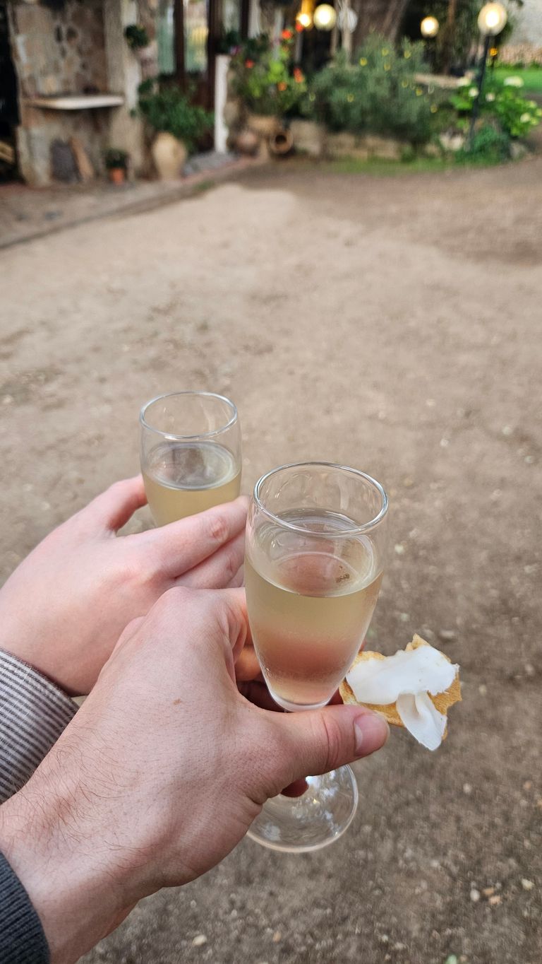 Zwei Hände halten jeweils ein Sektglas mit einem hellen Getränk, eine Hand hält zusätzlich eine kleine Scheibe Brot mit weißem Belag, im Hintergrund unscharfer Außenbereich mit Pflanzen und Lampen.