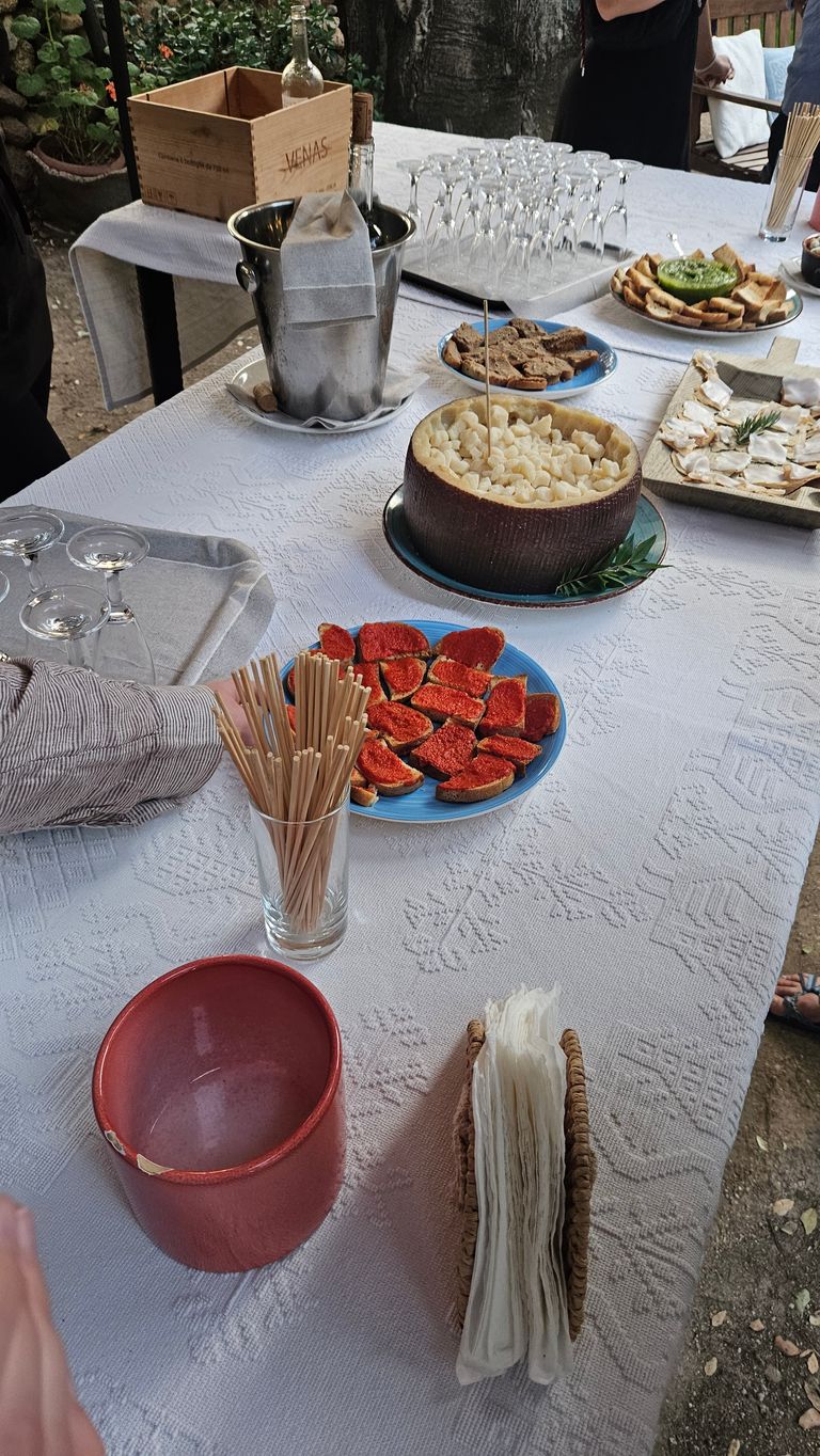 Ein gedeckter Tisch im Freien mit einer großen Schale mit Käsewürfeln, einem Teller mit roten Brotaufstrichen, einem Tablett mit Weingläsern, einem Eiskübel mit Weinflaschen und Servietten.