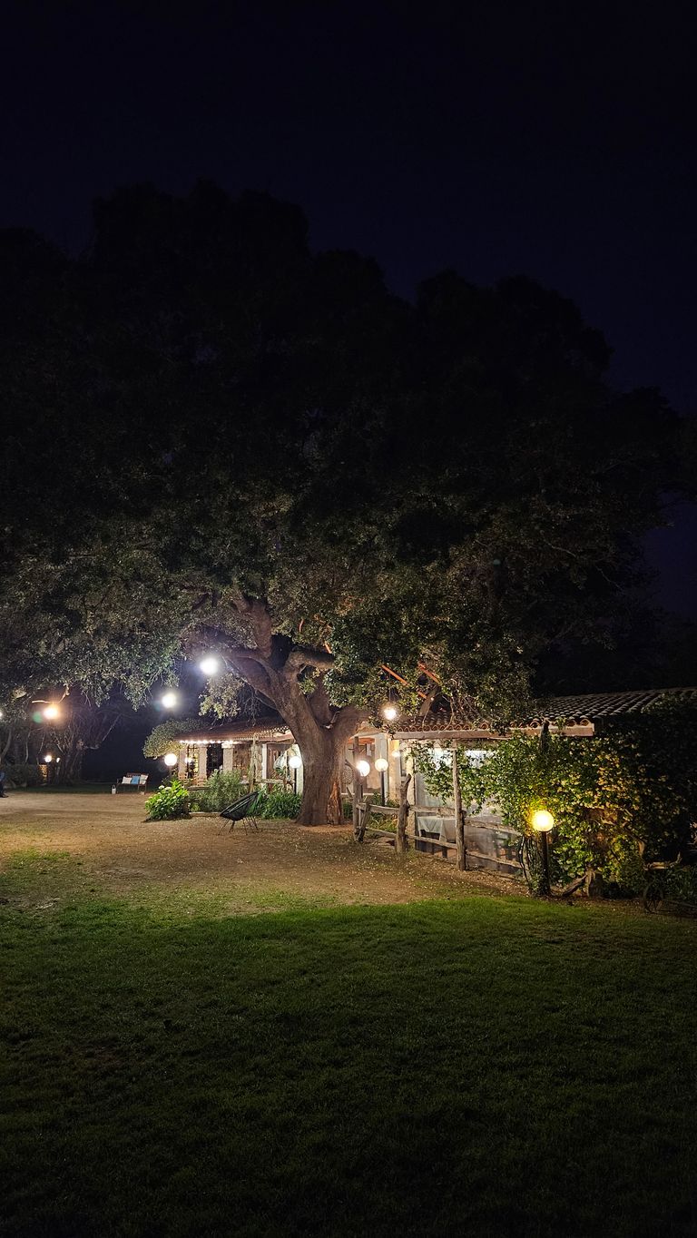 Ein beleuchtetes Haus mit traditionellem Dach und großen Bäumen davor in einer dunklen Nacht, umgeben von Gartenlichtern und einer Wiese.