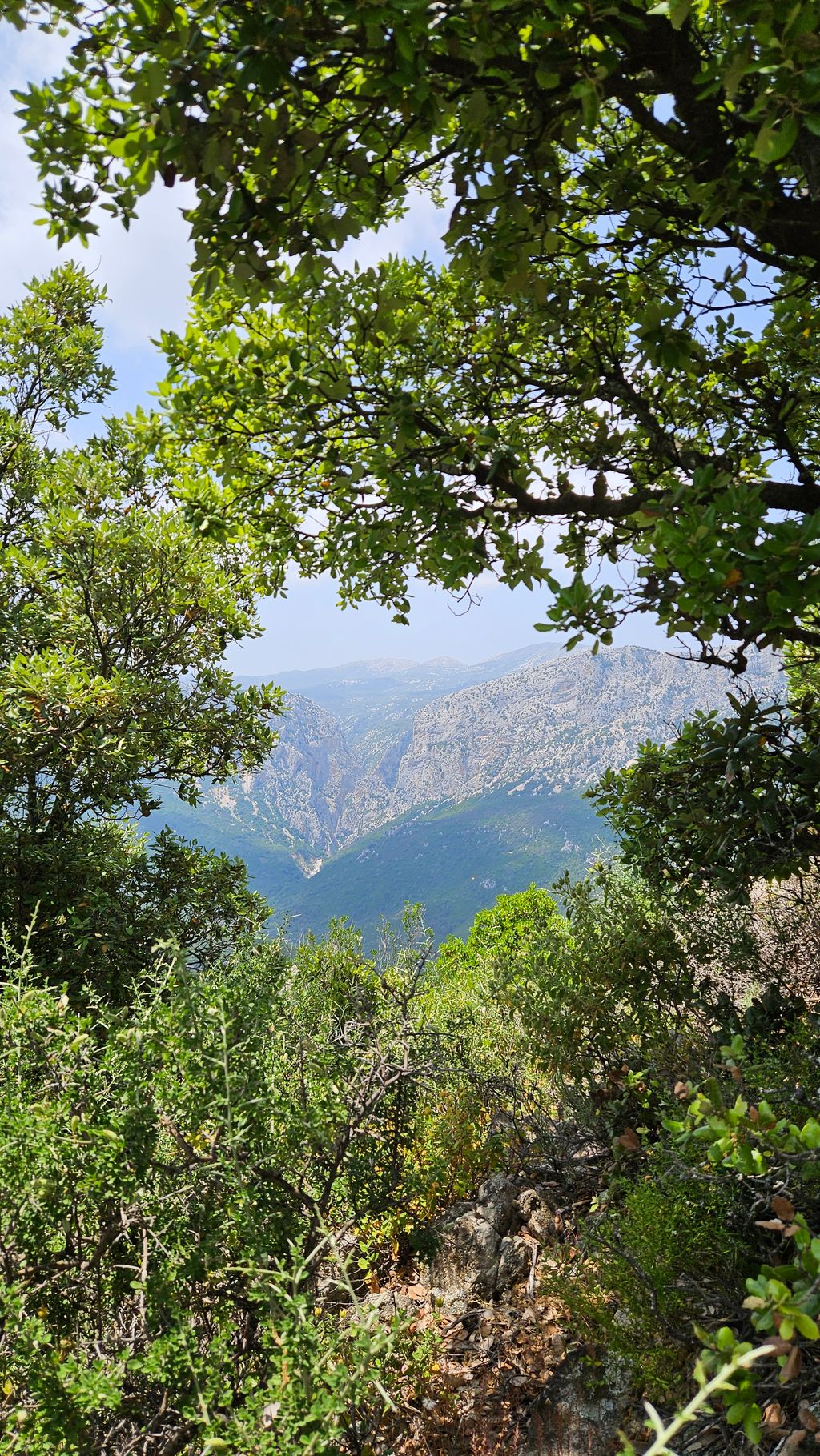 Berglandschaft mit grünen Büschen und Bäumen im Vordergrund unter blauem Himmel.