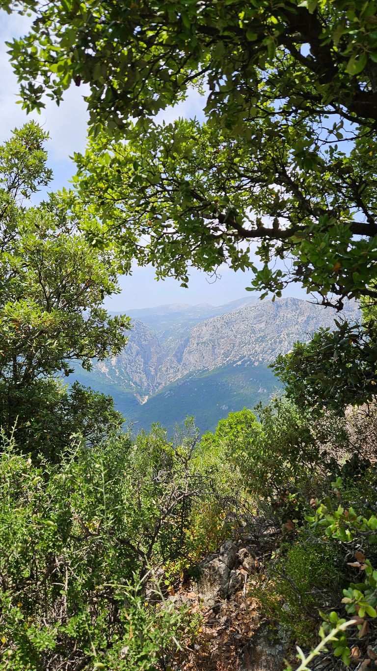 Berglandschaft mit grünen Büschen und Bäumen im Vordergrund unter blauem Himmel.