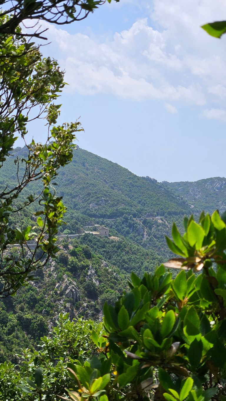 Grüne bewaldete Hügel mit einem kleinen Haus in der Ferne, eingerahmt von grünen Blättern im Vordergrund unter einem hellen, wolkigen Himmel.
