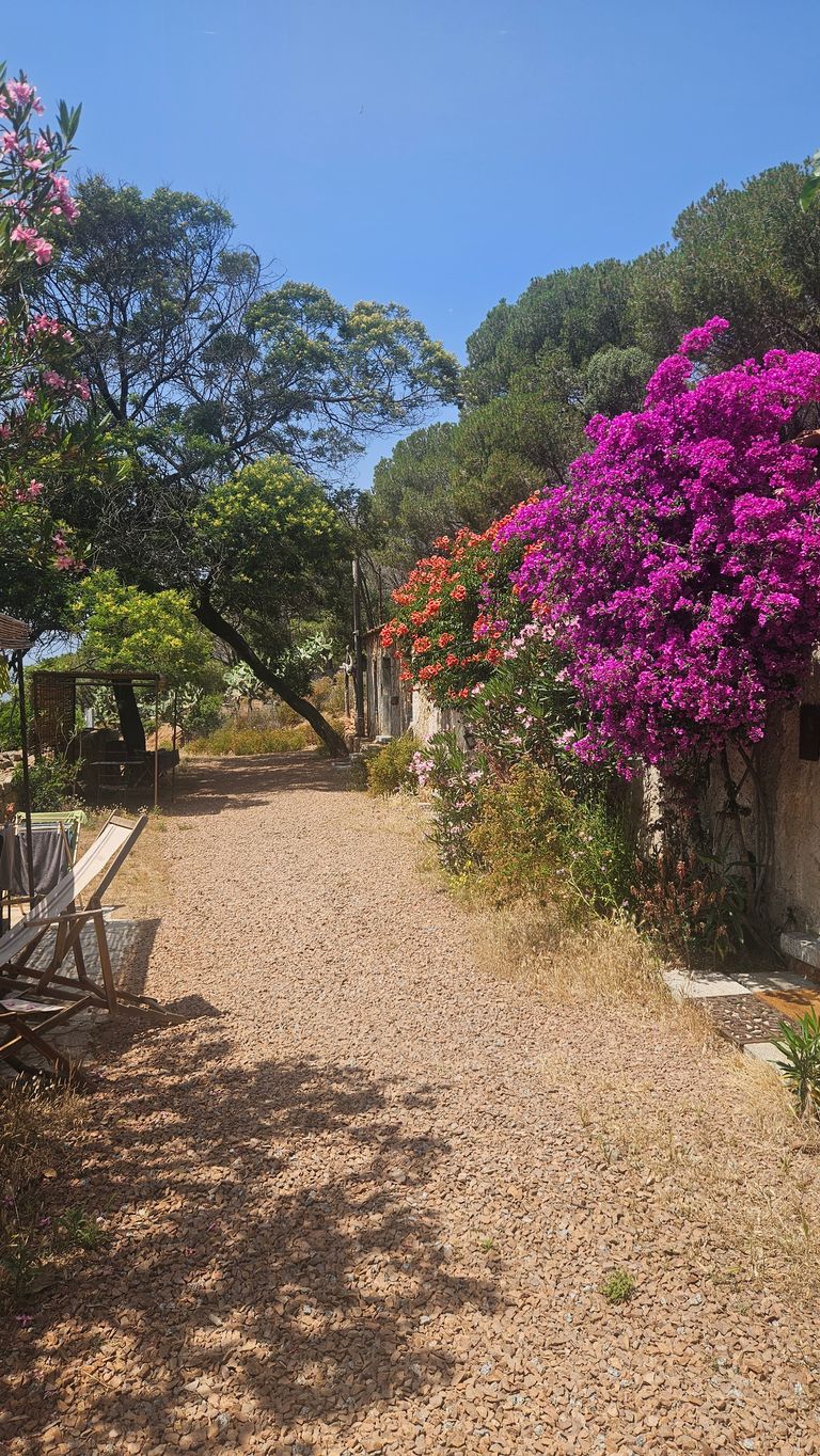 Ein ruhiger, mit Kies bedeckter Weg entlang einer Mauer mit bunten Blumensträuchern, umgeben von hohen Bäumen unter einem klaren blauen Himmel.