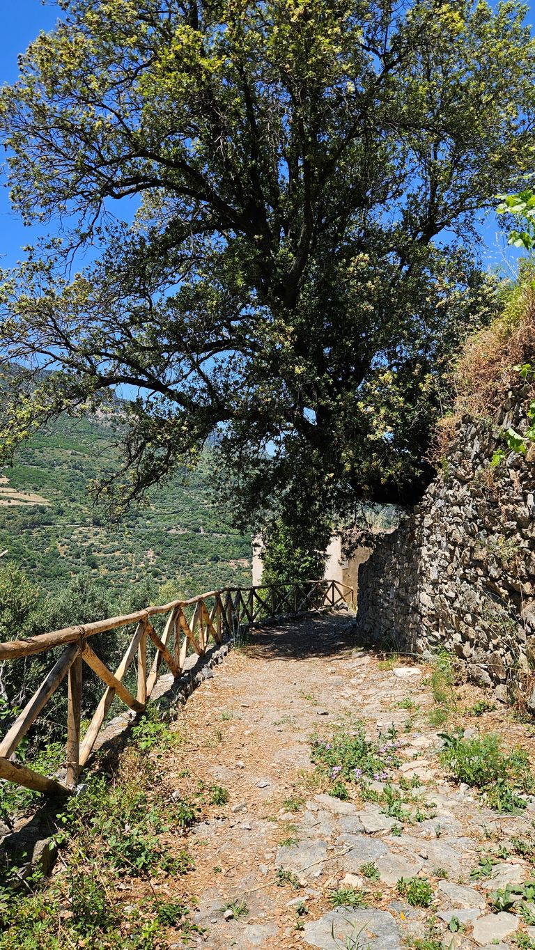 Wanderweg mit einem großen, blühenden Baum, einer Steinmauer rechts und einem Holzgeländer links, im Hintergrund bewaldete Hügel unter blauem Himmel.