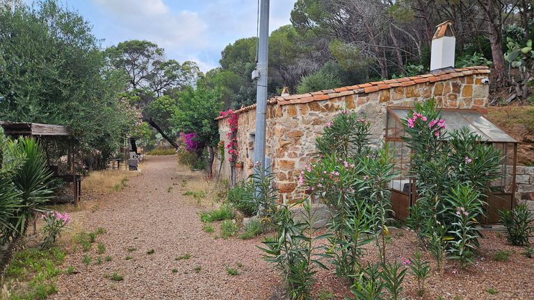 Ein Kiesweg entlang einer niedrigen Steinmauer mit blühenden Pflanzen vor und einem bewaldeten Hang im Hintergrund unter bewölktem Himmel.