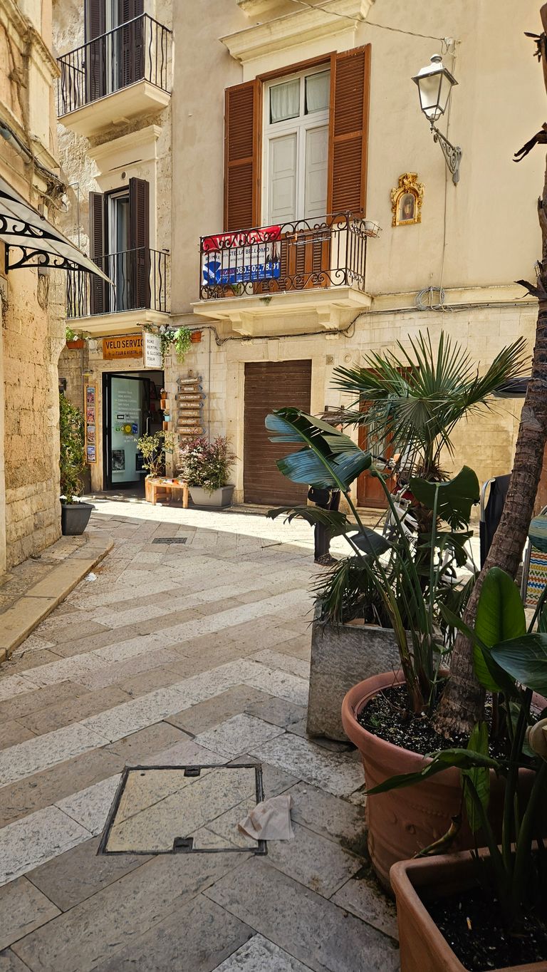 A narrow paved alley with light stone buildings, a balcony with brown shutters and a sign hanging, and several large pots with green plants in the foreground.