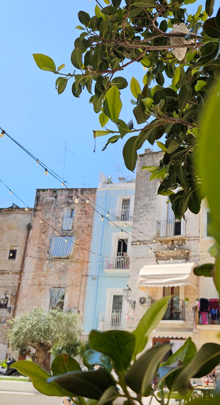 View through green leaves onto a street with old buildings featuring weathered facades, decorated with string lights overhead.