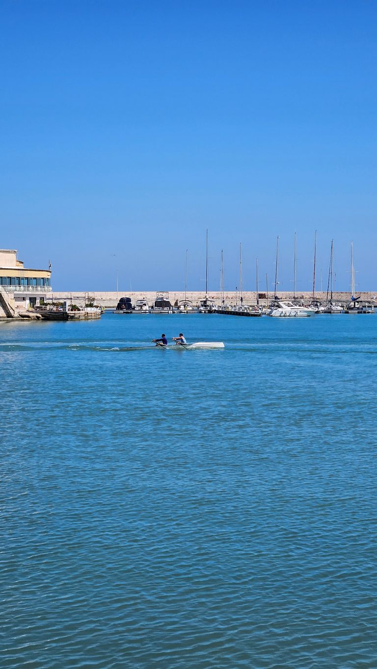 Two people rowing a small boat on calm water with a harbor pier and several sailboats in the background under a clear blue sky.