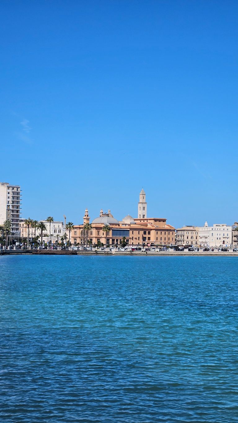 Panoramic view of a coastal city with historic buildings, palm trees, and clear blue water under a cloudless sky.