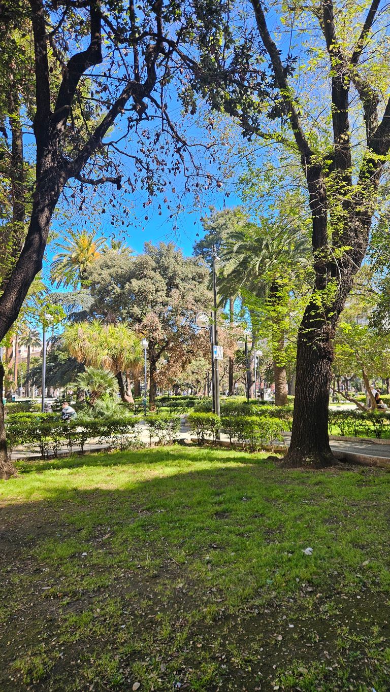 A sunny park with trees, shrubs, and a small path where a person is sitting. The sky is clear and blue, with greenery dominating the scene.