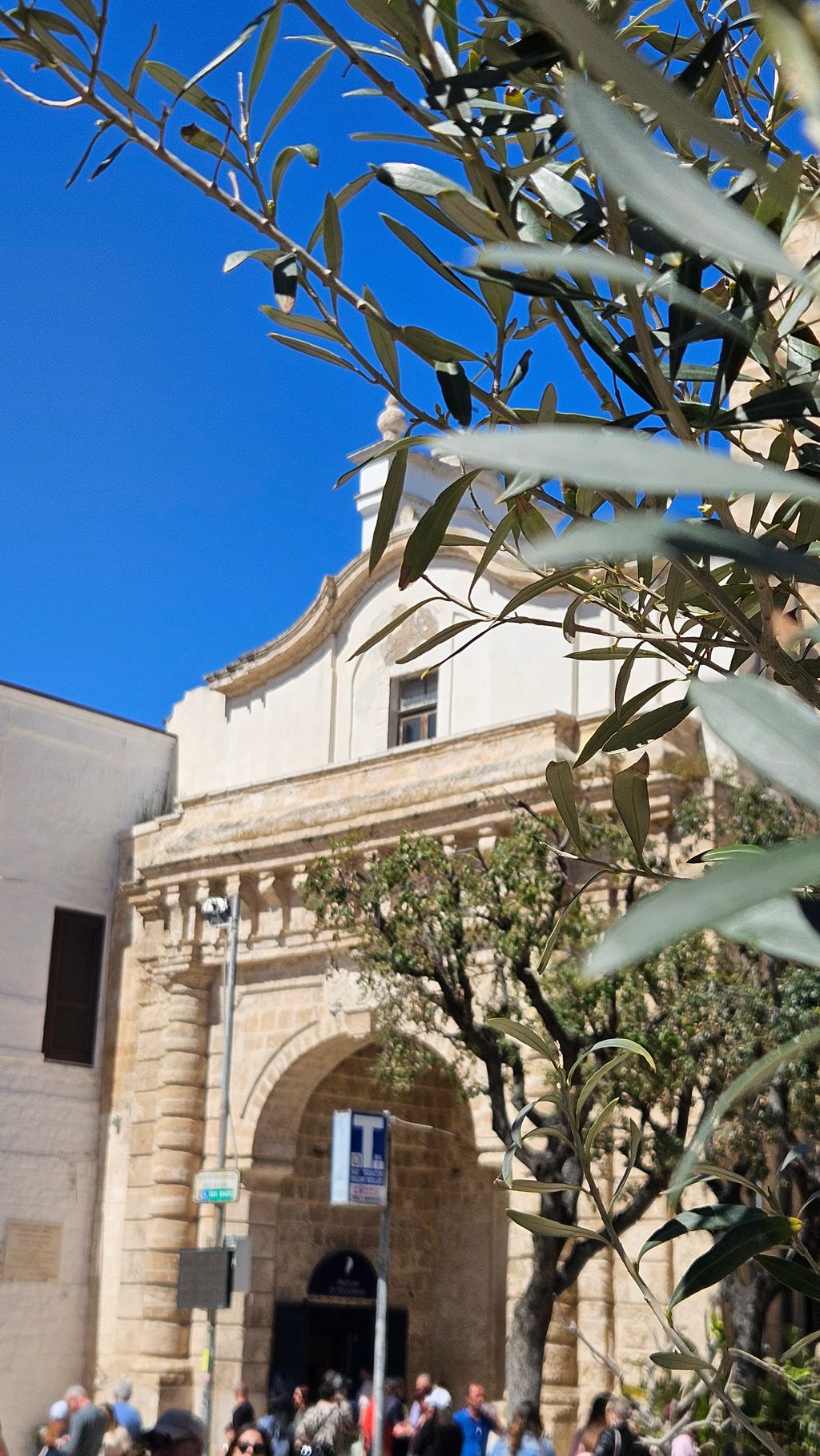 Olive branch with leaves in the foreground in front of a historic sandstone gate with an arch and a crowd of people underneath on a blue sky day.