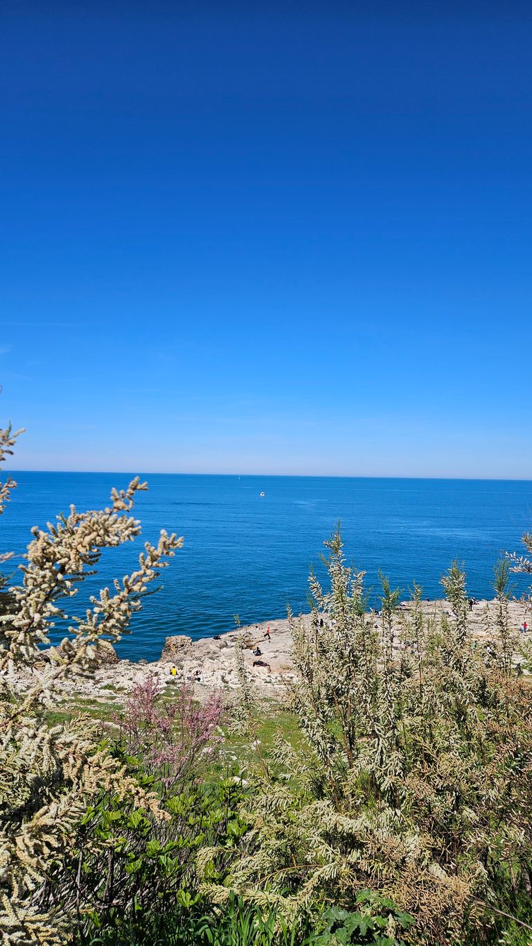 View of the blue sea and clear sky, with dense shrubs in the foreground and people walking on rocky terrain along the coast.