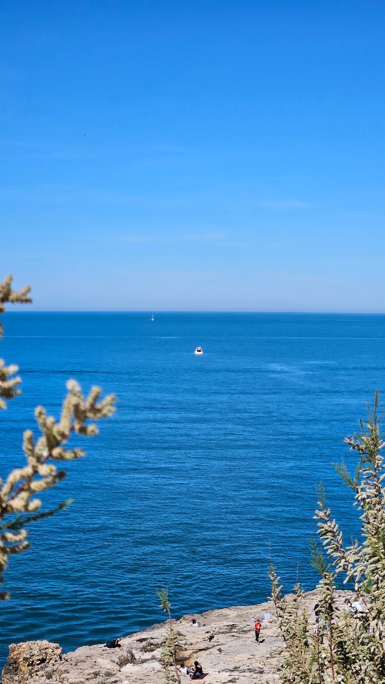 People relaxing on a rocky shore overlooking calm blue sea under a clear sky, with a boat on the water.