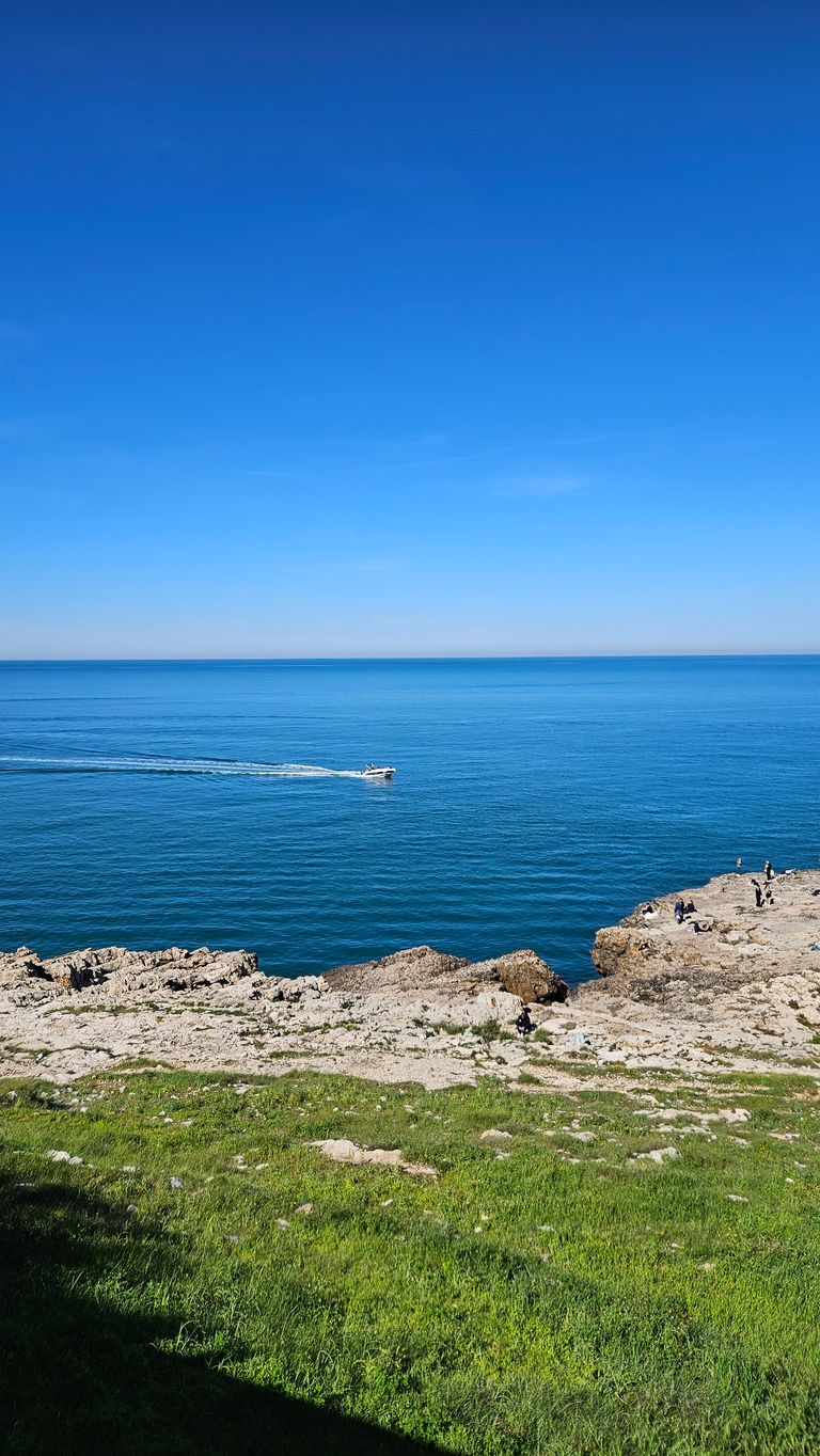 Boat cruising on calm blue sea near rocky coastline with green grass in the foreground and a few people on the rocks.