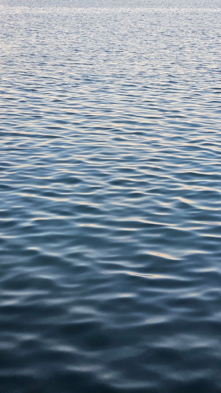 Surface of a calm body of water with gentle ripples and light reflections.