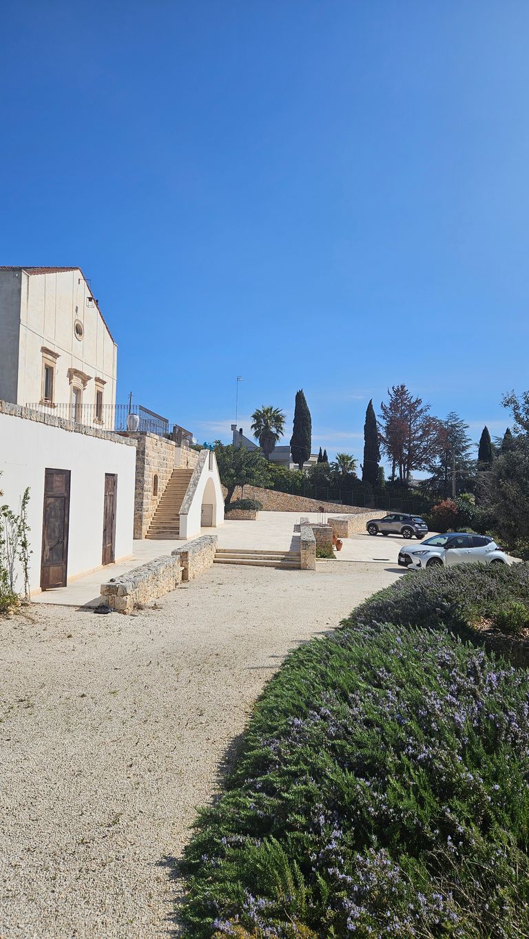 A bright courtyard with a gravel ground, surrounded by white and stone buildings and walls, with stairs and doors on the left side. In the background are several cypress and palm trees, with two parked cars visible. In the foreground, green bushes with small purple flowers bloom.