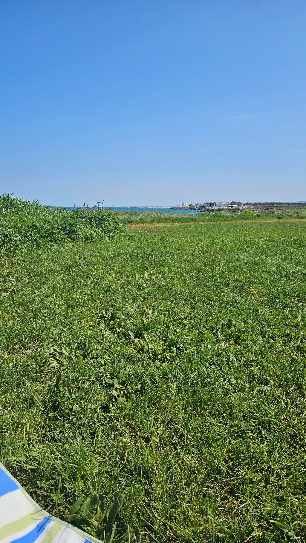 Green meadow with a view of the blue sea under a clear sky during the day.