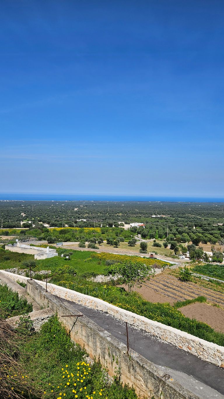 Landscape featuring green fields, low stone walls, and a paved path with a wide view of a forest and blue sea on the horizon under clear sky.