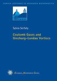 Coulomb Gases and Ginzburg–Landau Vortices