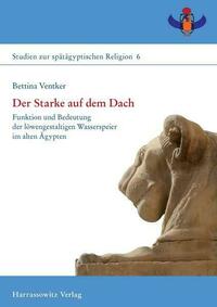 Der Starke auf dem Dach