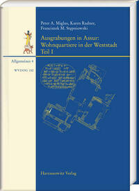 Ausgrabungen in Assur. Wohnquartiere in der Weststadt