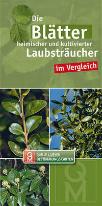 Die Blätter heimischer und kultivierter Laubsträucher im Vergleich
