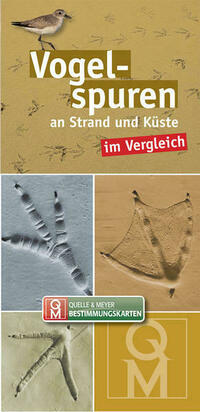 Vogelspuren an Strand und Küste im Vergleich