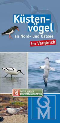 Küstenvögel an Nord- und Ostsee im Vergleich