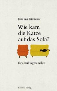 Wie kam die Katze auf das Sofa?