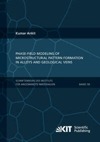 Phase-field modeling of microstructural pattern formation in alloys and geological veins