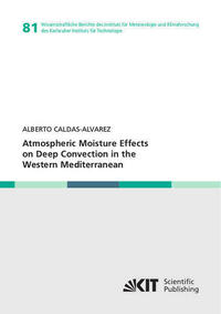 Atmospheric Moisture Effects on Deep Convection in the Western Mediterranean