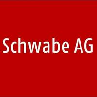 Schweizerisches Idiotikon, VI, Heft 064