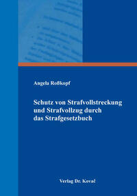 Schutz von Strafvollstreckung und Strafvollzug durch das Strafgesetzbuch