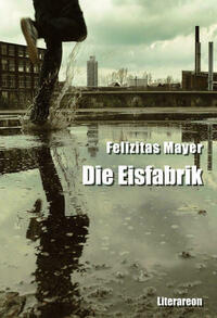 Die Eisfabrik