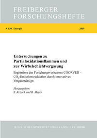 Untersuchungen zu Partialoxidationsflammen und zur Wirbelschichtvergasung