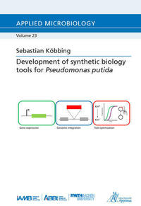 Development of synthetic biology tools for Pseudomonas putida
