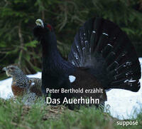 Das Auerhuhn