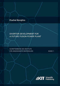 Divertor Development for a Future Fusion Power Plant