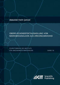 Oberflächendefektausheilung und Festigkeitssteigerung von niederdruckspritzgegossenen Mikrobiegebalken aus Zirkoniumdioxid