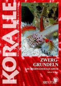 Zwerggrundeln im Meerwasseraquarium