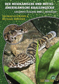 Der Mexikanische und Mittelamerikanische Krallengecko