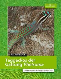 Taggeckos der Gattung Phelsuma