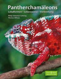 Pantherchamäleons