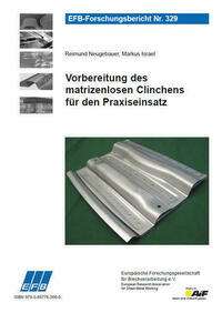 Vorbereitung des matrizenlosen Clinchens für den Praxiseinsatz