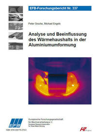 Analyse und Beeinflussung des Wärmehaushalts in der Aluminiumumformung