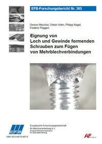 Eignung von Loch und Gewinde formenden Schrauben zum Fügen von Mehrblechverbindungen