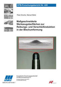 Maßgeschneiderte Werkzeugoberflächen zur Reibungs- und Verschleißreduktion in der Blechumformung