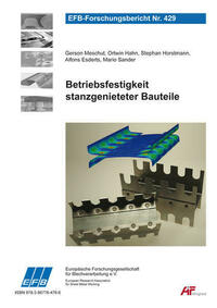 Betriebsfestigkeit stanzgenieteter Bauteile