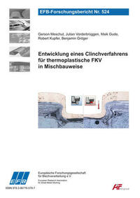 Entwicklung eines Clinchverfahrens für thermoplastische FKV in Mischbauweise