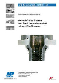 Vorlochfreies Setzen von Funktionselementen mittels Fließformen